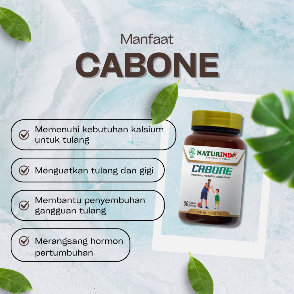 Cabone Obat Patah Tulang Ampuh Halal 50 Kapsul || Cabone Obat Patah Tulang Pereda Nyeri Halal