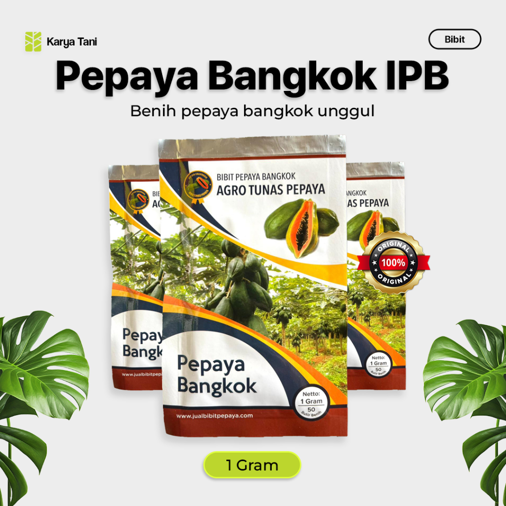 BENIH PEPAYA BANGKOK IPB 1 GRAM BENIH PEPAYA BANGKOK UNGGUL
