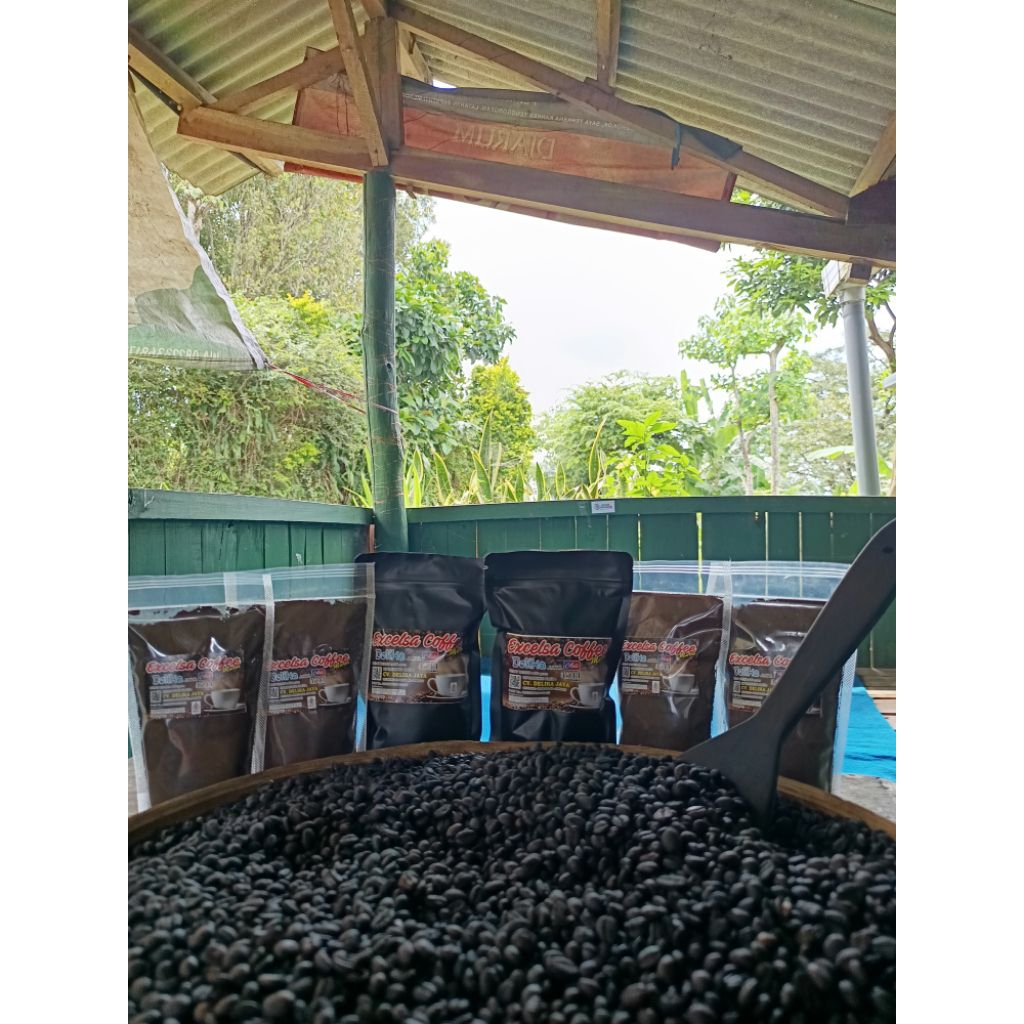 kopi Excelsa Wonosalam