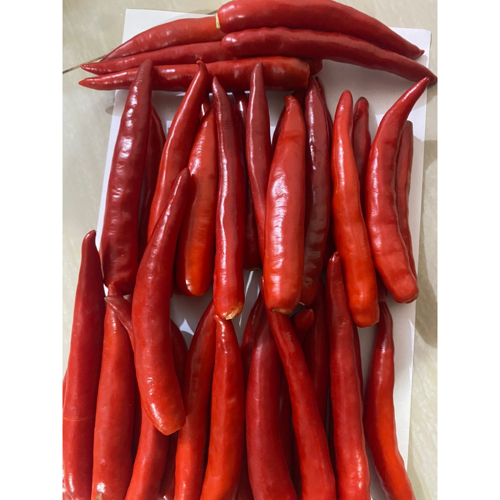 cabe merah besar 1kg