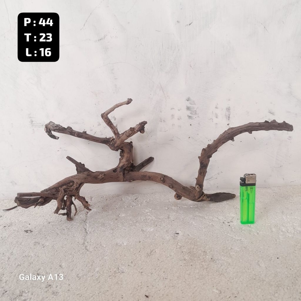 Kayu Aquascape - Kayu Santigi