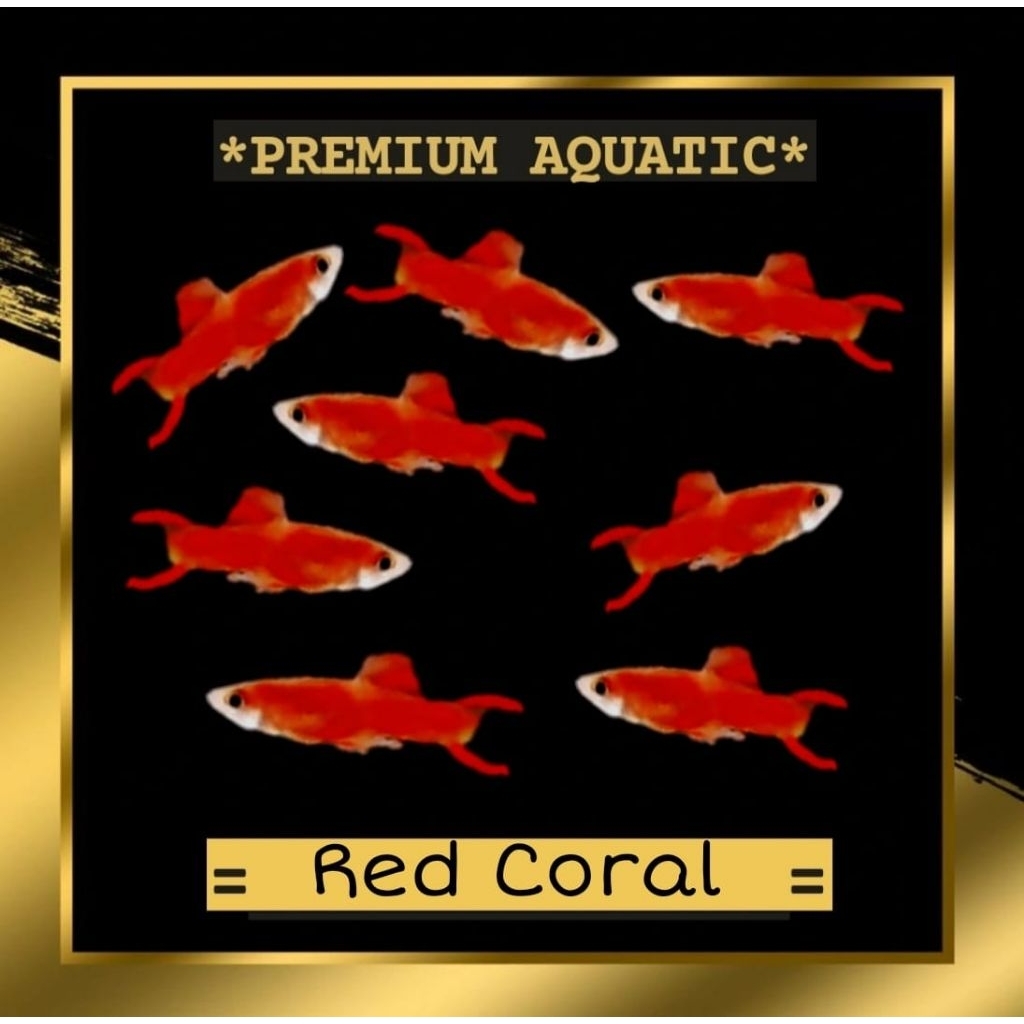 endler red coral