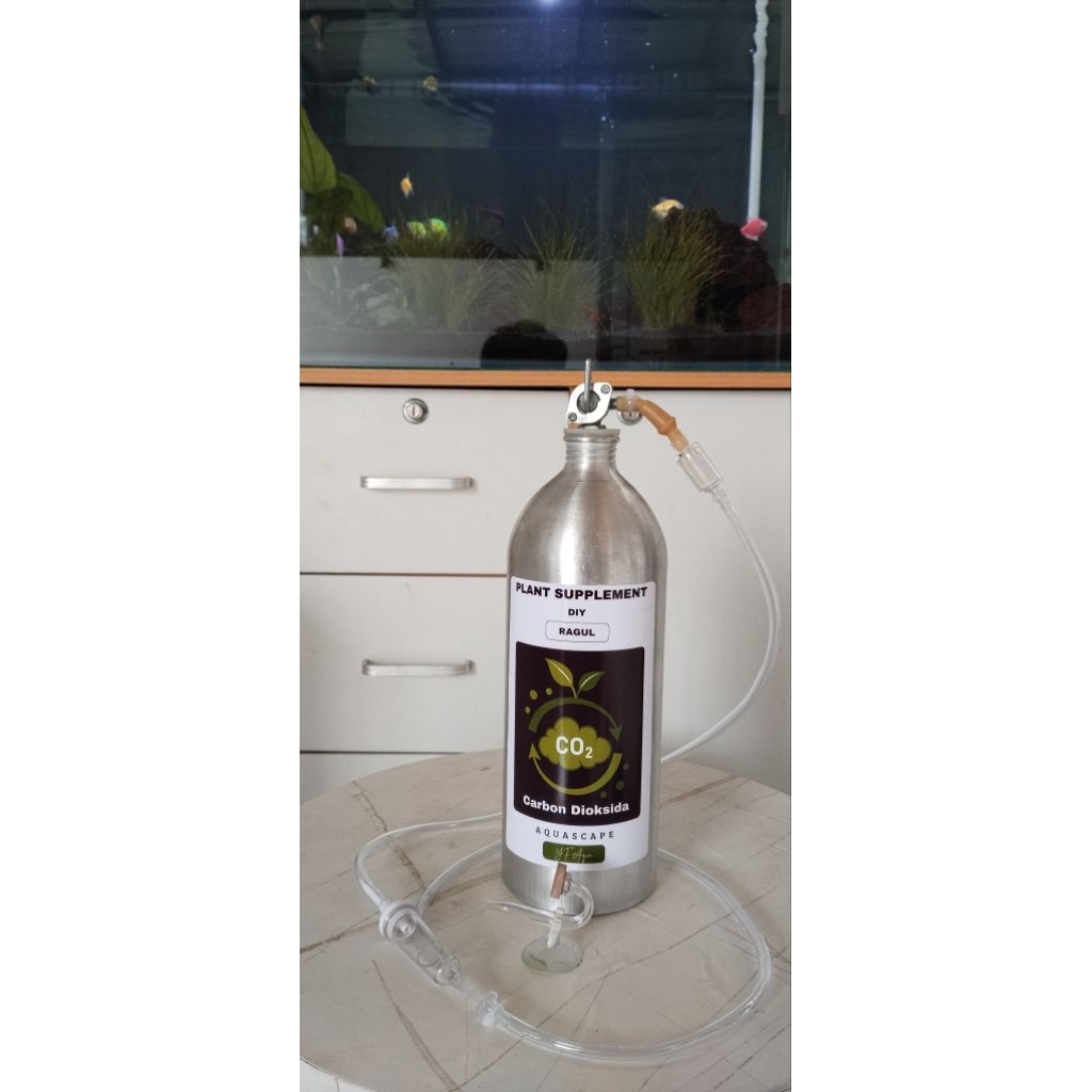 Ragul Co2 aquascape DIY