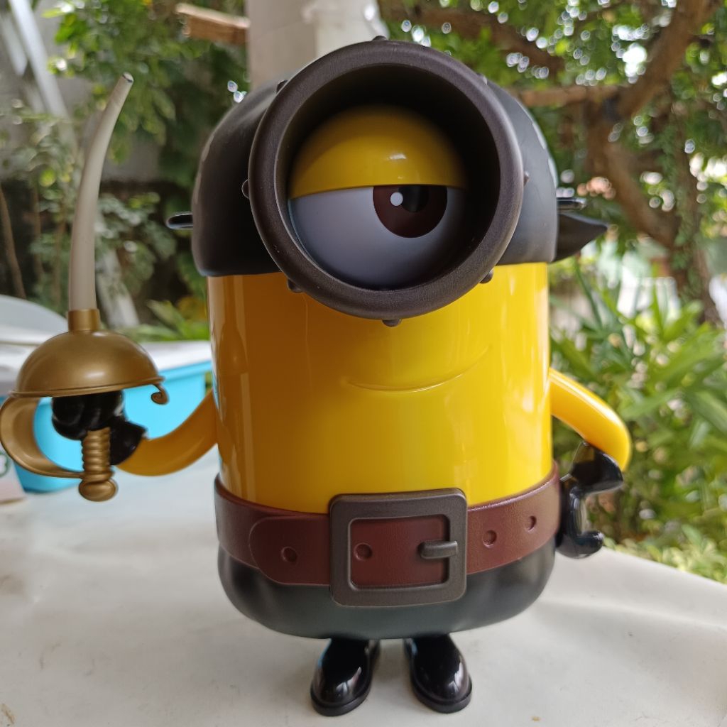 Popcorn Bucket Minion Pirates
