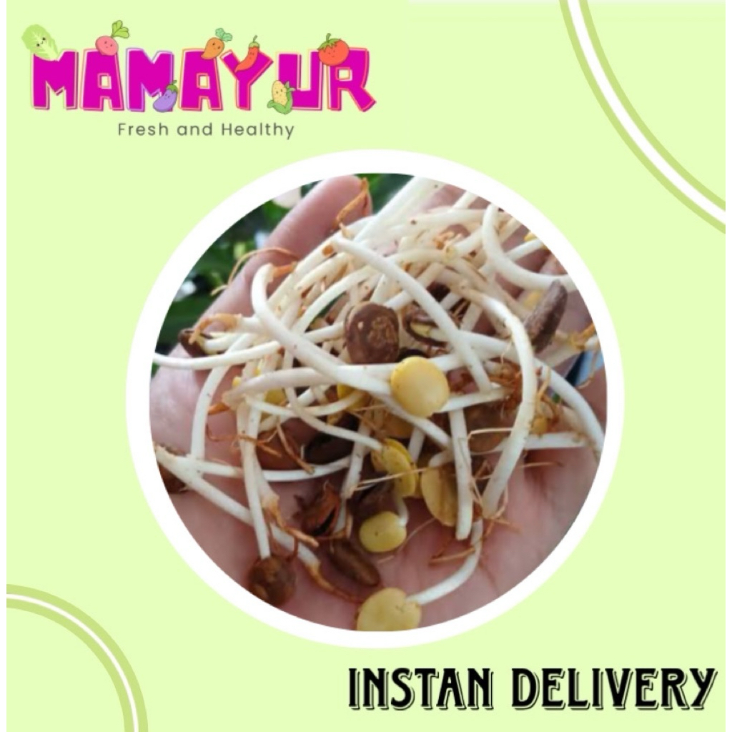 MAMAYUR Ale Kecambah 50gr