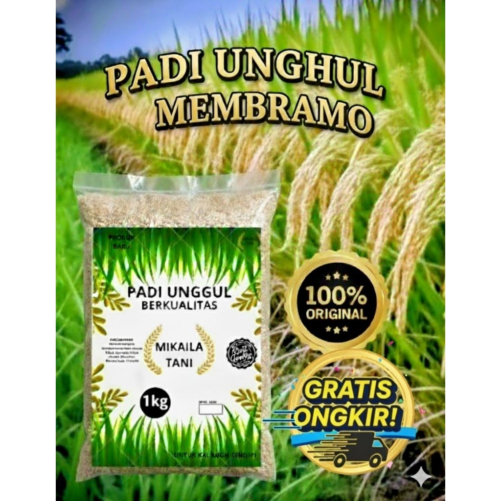 BENIH PADI UNGGUL BERKUALITAS MEMBRAMO KEMASAN 1KG