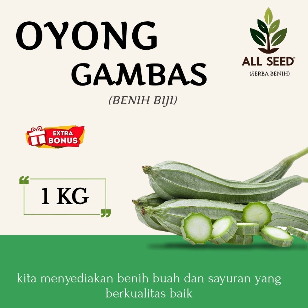 ( 1 KG ) Benih oyong gambas | bibit biji emes | oyong gambas