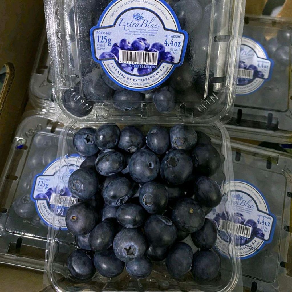promo buah blueberry import super fresh segar 125 gram