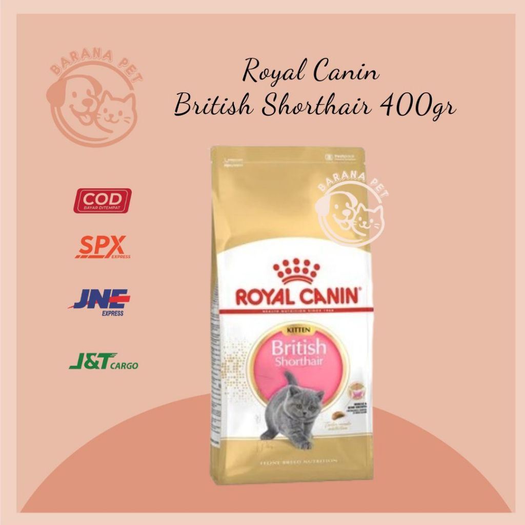 Royal Canin Kitten British Shorthair kitten 400 Gr _ Royal Canin British Shorthair FRESHPACK
