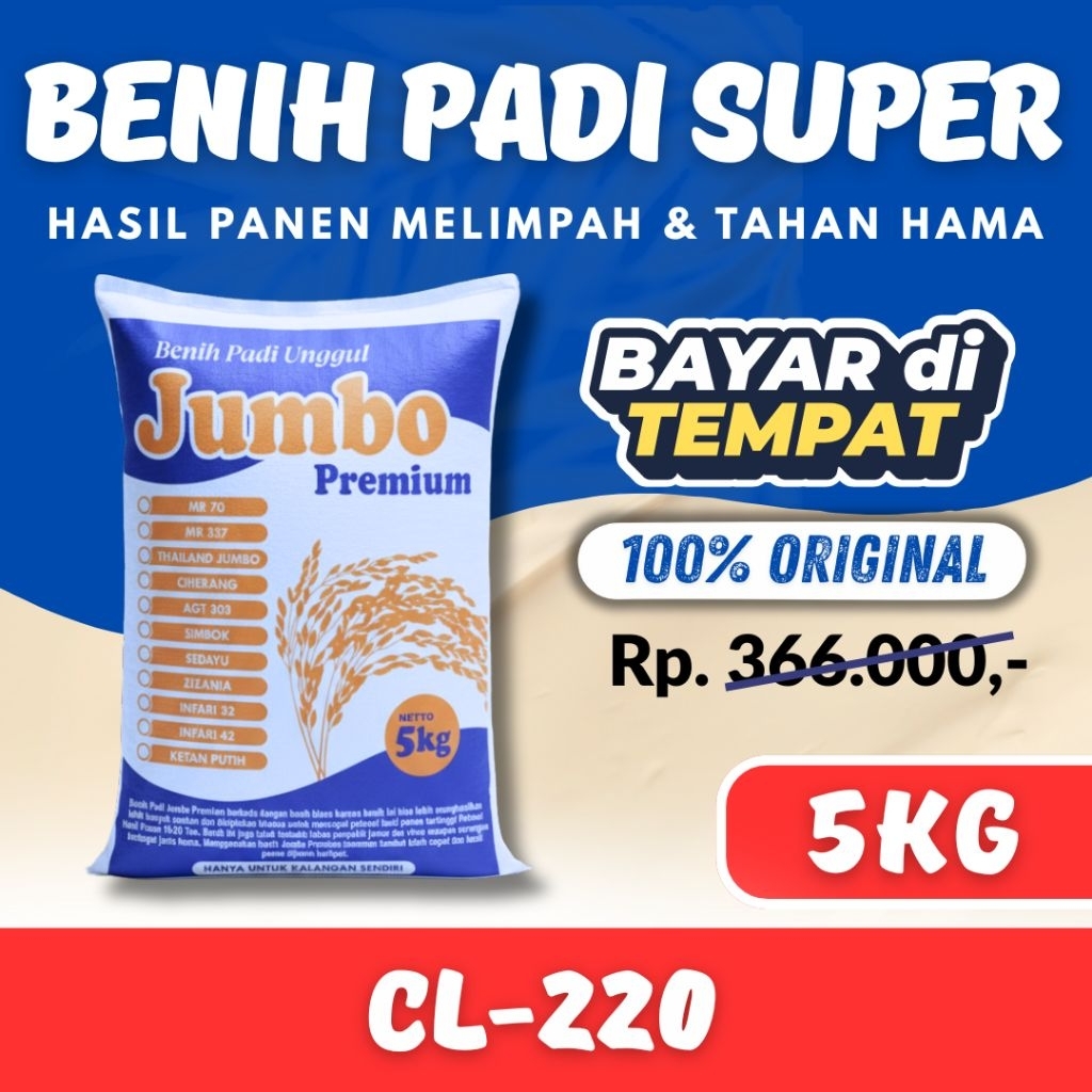 PADI UNGGUL CL 220 KEMASAN 5 kg Bibit padi Unggul CL 220 KEMASAN 5kg Berkualitas Super