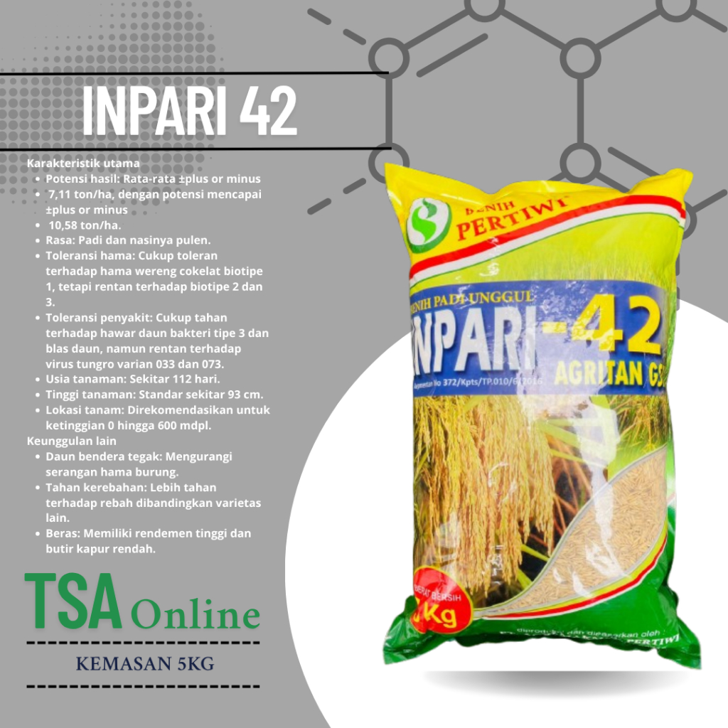 BENIH PADI INPARI 42 PERTIWI ORIGINAL KEMASAN 5KG ASLI PERTIWI