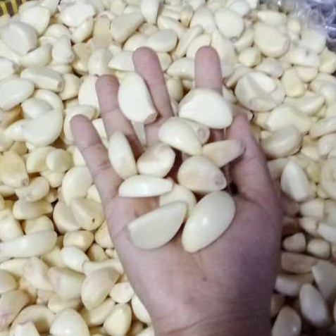 Bawang Putih Kupas bersih 100g Pasar Induk