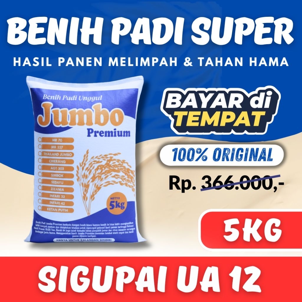 Benih padi Sigupai Ua 12 kemasan 5 kg Premium BENIH PADI UNGGGUL SIGUPAI UA 12 KEMASAN 5KG Berkualit