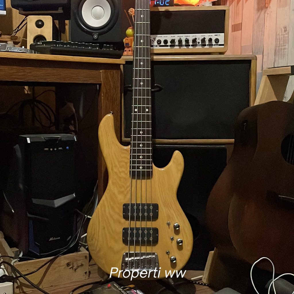 Bass G&L L2500 MII