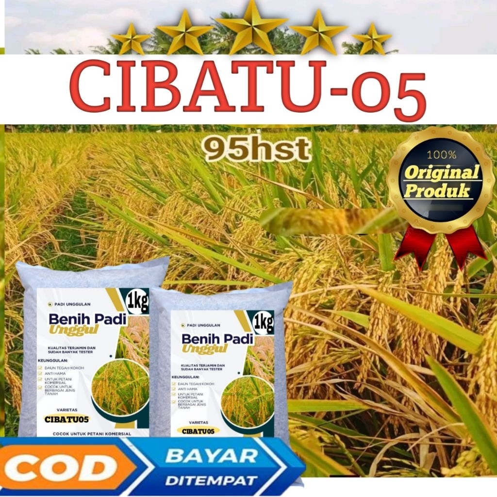 BENIH PADI BERKUALITAS CIBATU 05 KEMASAN 1KG