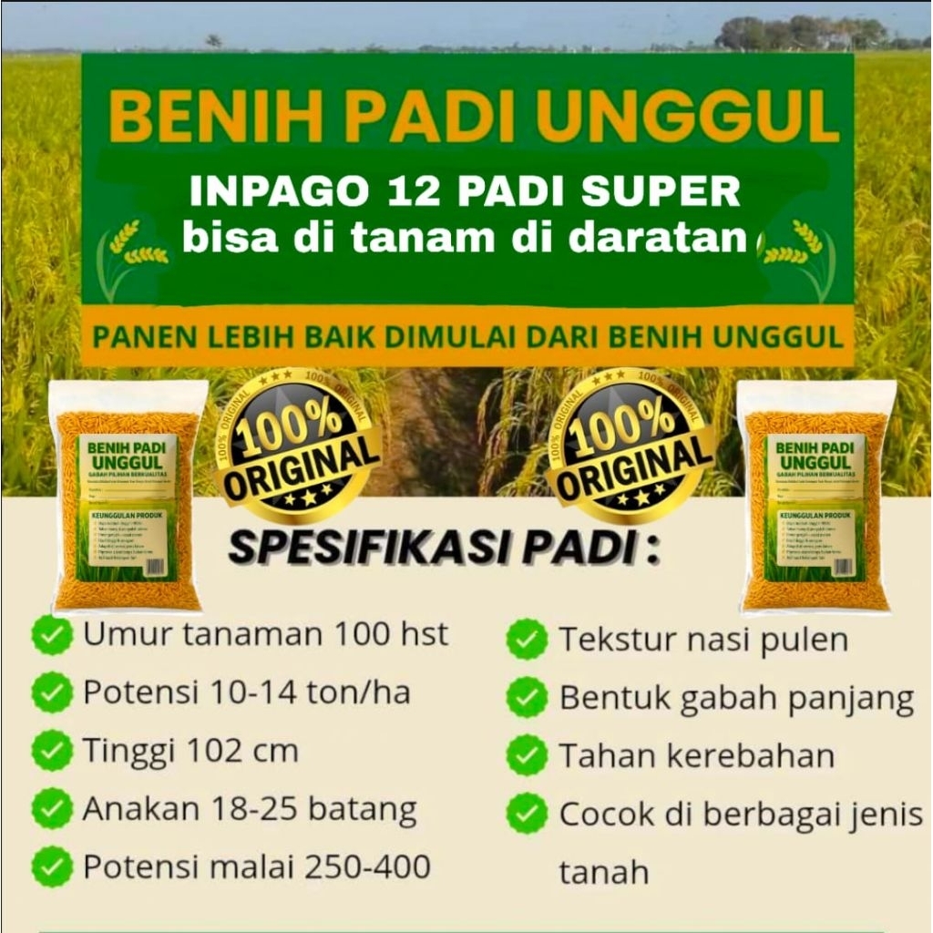 BENIH BIBIT PADI 5KG INPAGO 12 SUPER