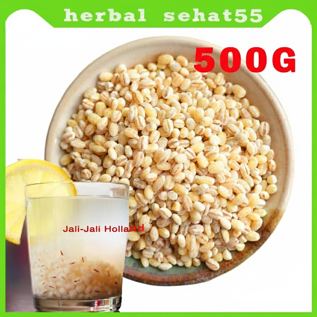 Biji Jali-Jali Holland Pearl Barley Biji Jali Khasiat Buat Kesehatan Jali Jali