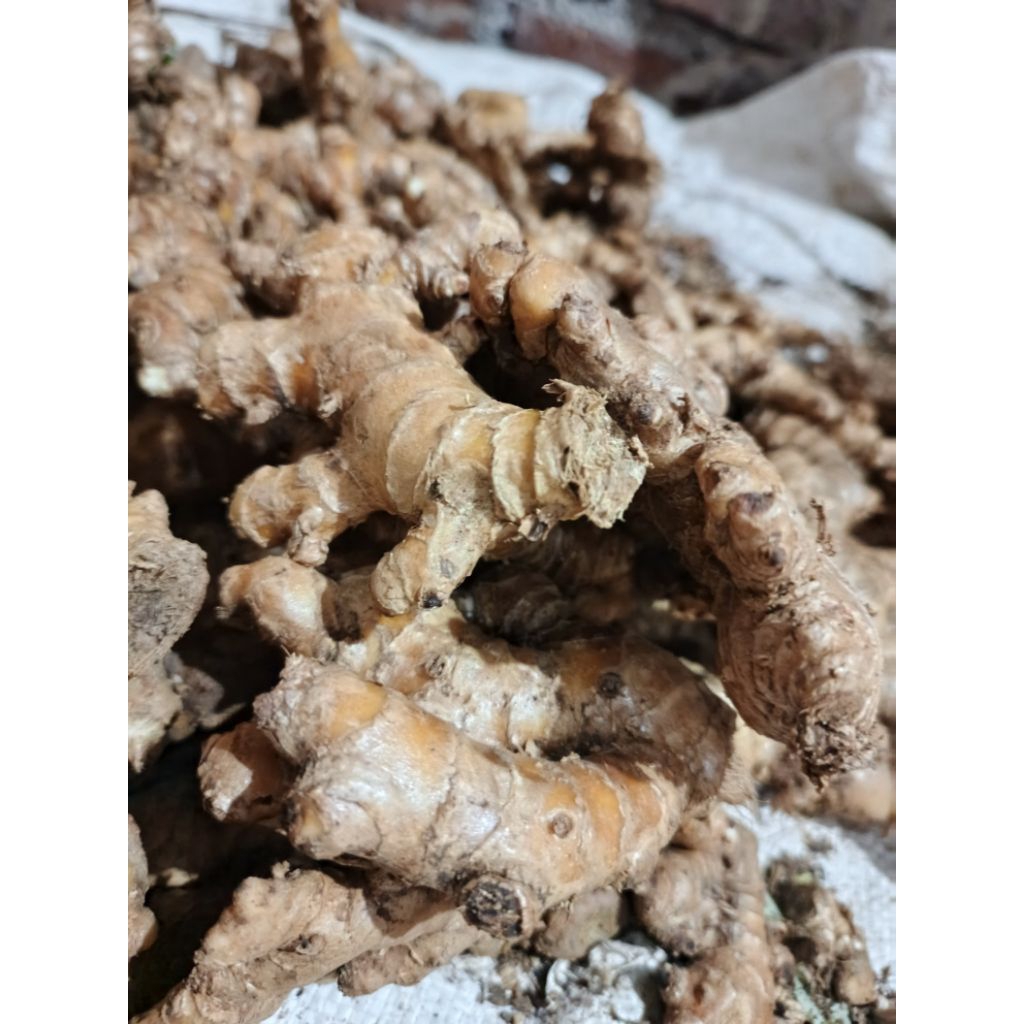 lempuyang emprit 1kg