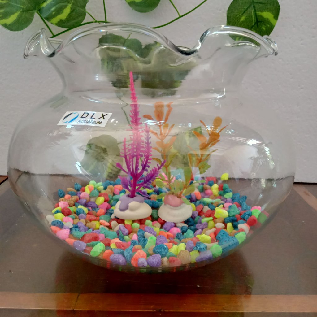 AQUARIUM BULAT 12,3L AQUARIUM BULAT KACA - AQUARIUM HIAS - AQUARIUM CUPANG - AQUASCAPE