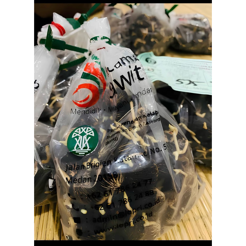 KECAMBAH PPKS 540 SERTIFIKAT