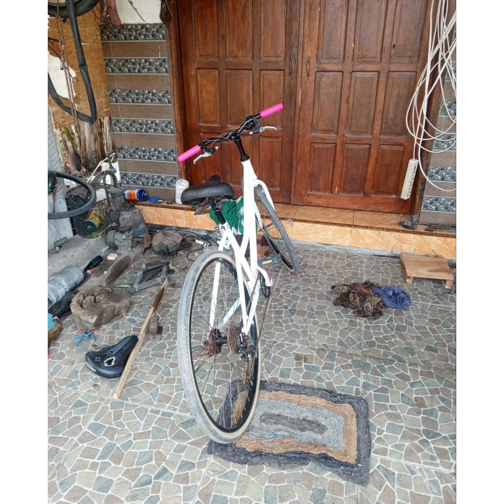 Sepeda bekas phoenix modifan