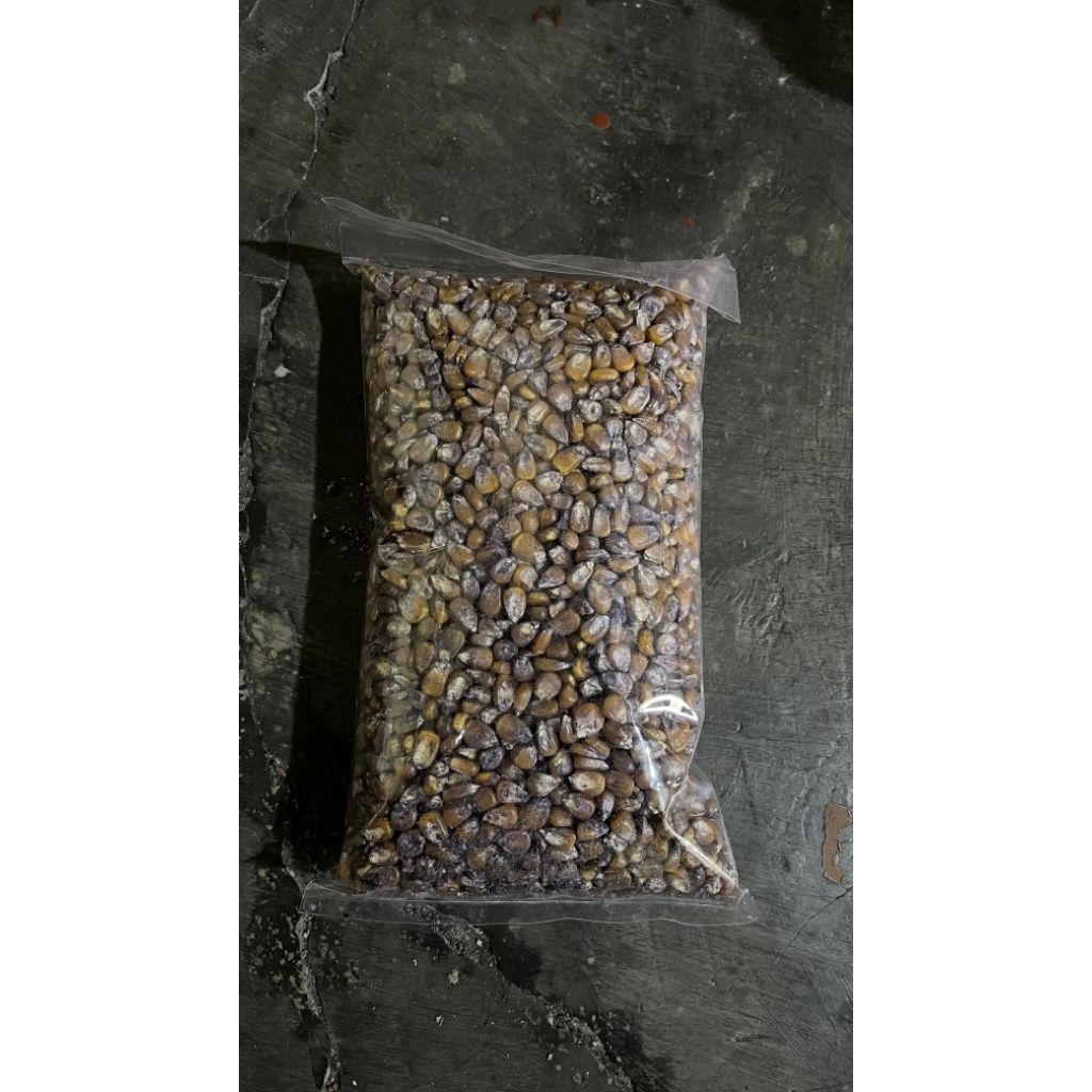 Benih Jagung Hibrida PIONNER REPACK P35, P40, P89 - 1 Kilogram