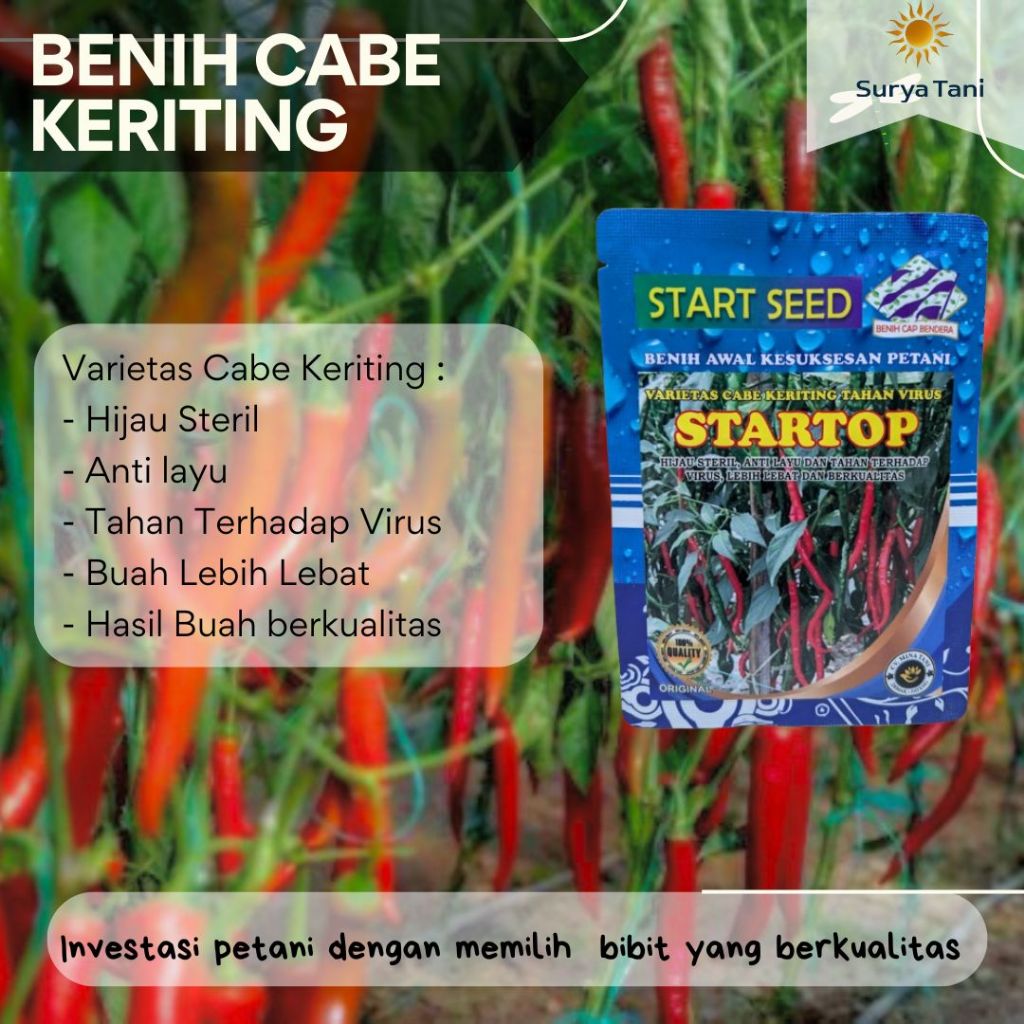 Bibit Cabe Kriting Unggul Tahan Virus STARTOP Bibit Cabe kriting Unggul Bibit Cabe Kriting Merah isi
