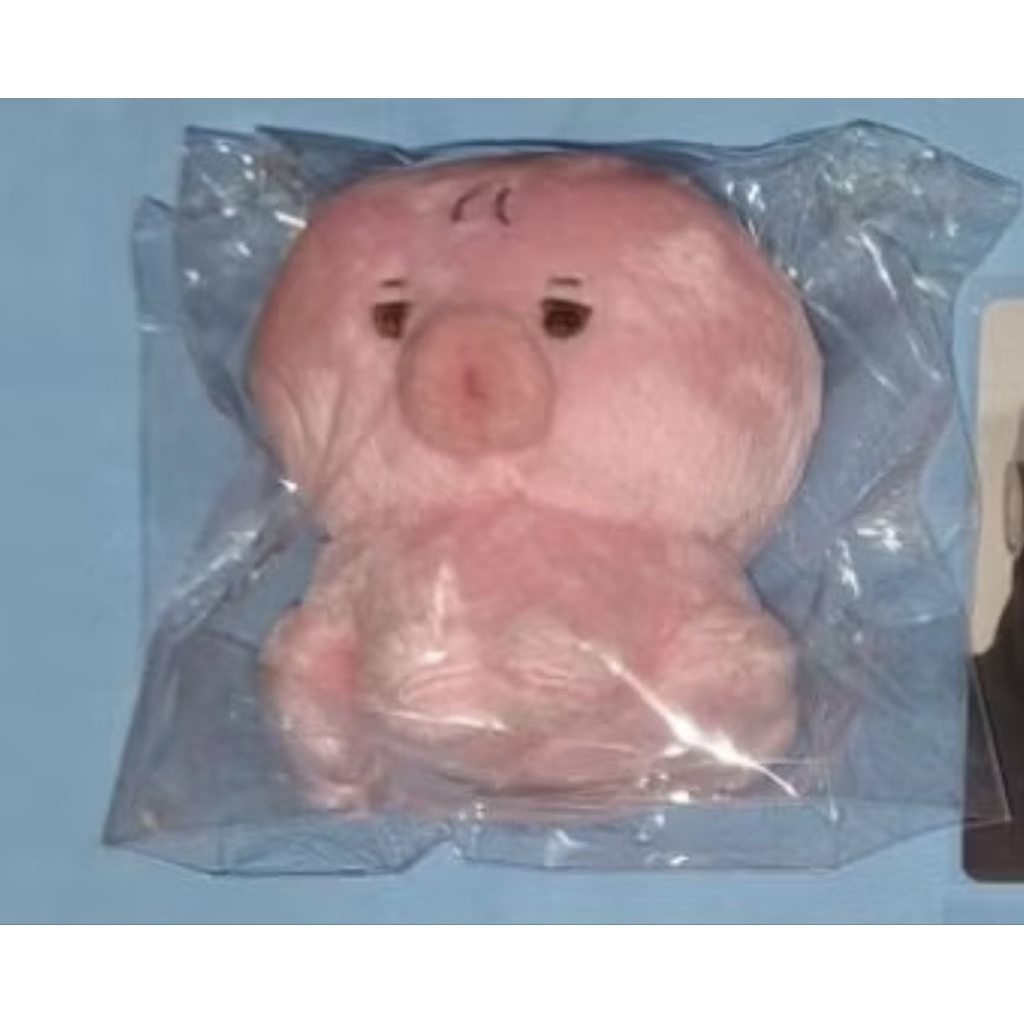 tteonko doll sunwoo 8cm like new