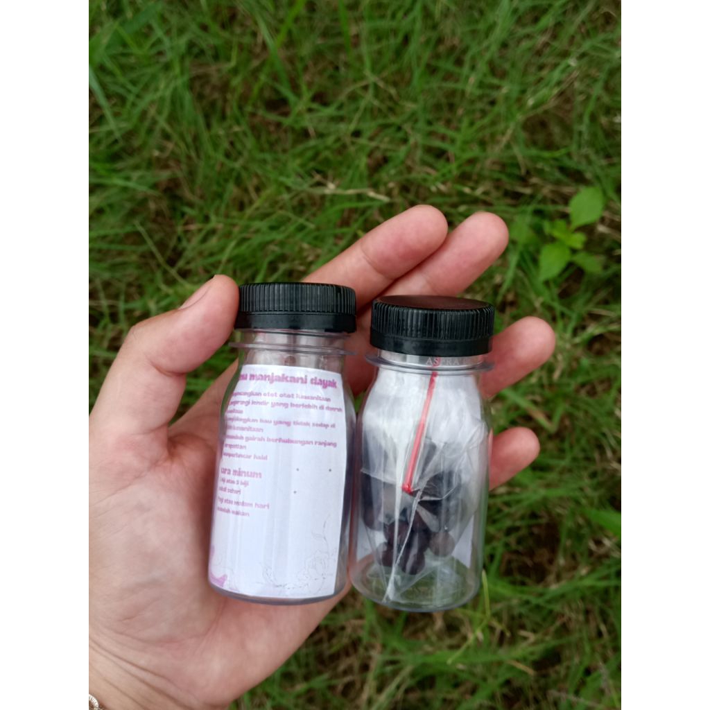 JAMU MANJAKANI DAYAK