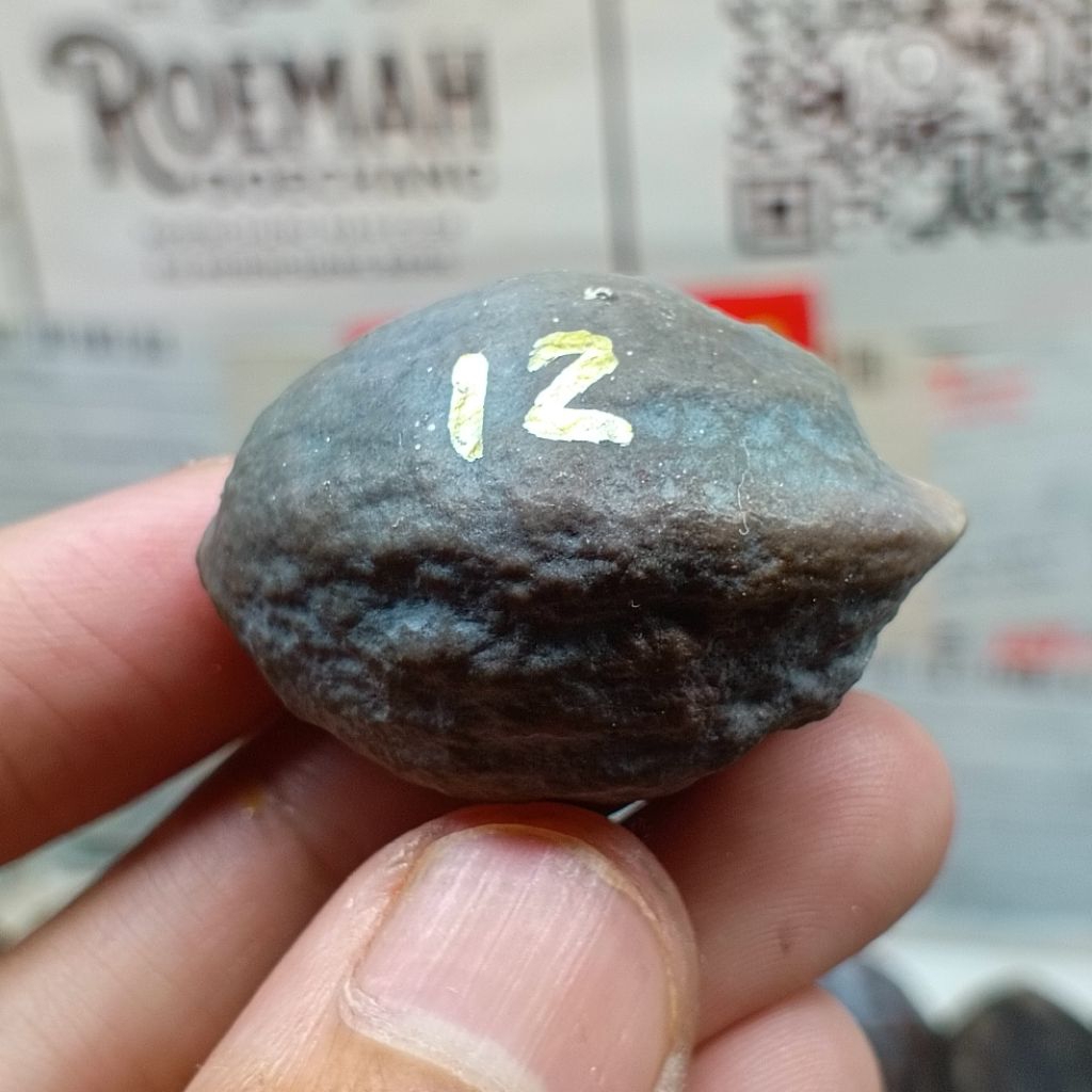 Muncang Adu Jabra Bella kode 12