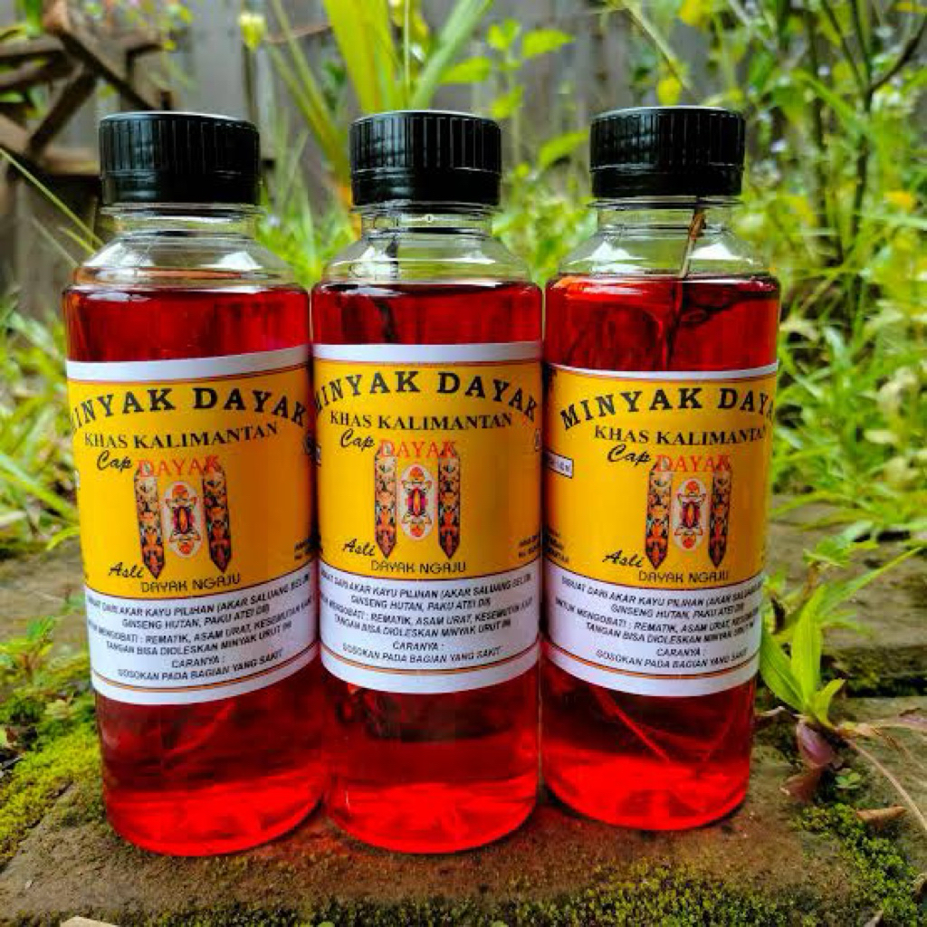 minyak urut dayak khas kalimantan minyak urut dayak asli kalimantan