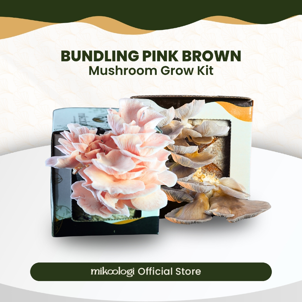 Bundling Pink Brown - Mikoologi Mushroom Grow Kit - Hiasan Edukasi Eksplorasi Anak Dekorasi