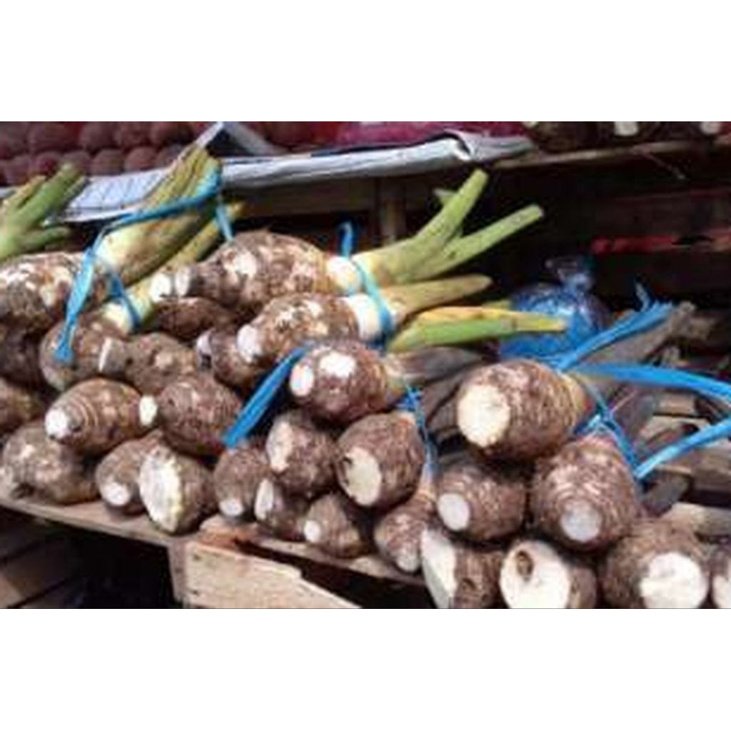Talas bogor 1 kg / Talas Bogor pulen dan legit / Talas Bogor segarr