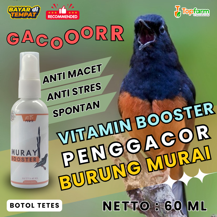 Vitamin Burung Murai 60ML/ Vitamin Penggacor Murai/ Vitamin Murai Batu/ Vitamin Murai 60ML/ Vitamin 