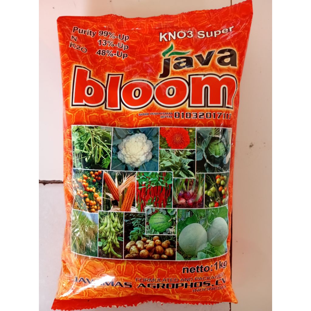 KNO 3 Super JAVA BLOOM Puruty 99% N 13% K 48% 1 Kg