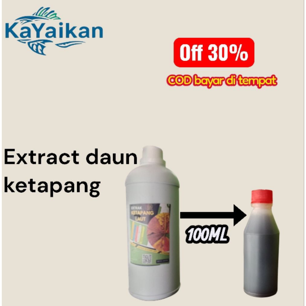 extract/extra daun ketapang / cairan daun ketapang (pekat)