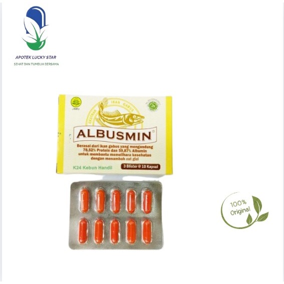 Albusmin Kapsul Imunitas Protein Dari Ikan Gabus