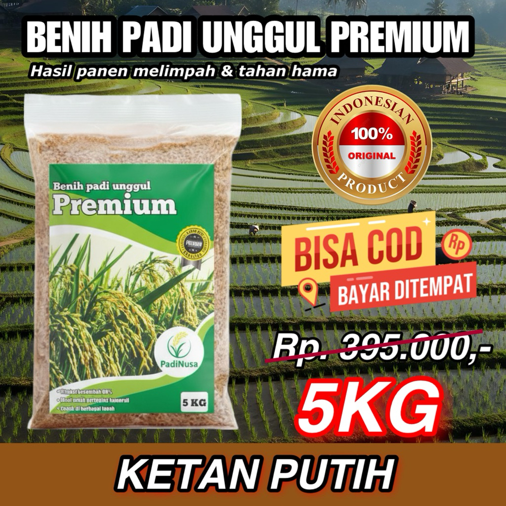 PadiNusa - Bibit Padi Unggul Ketan Putih Kemasan 5kg Super Premium