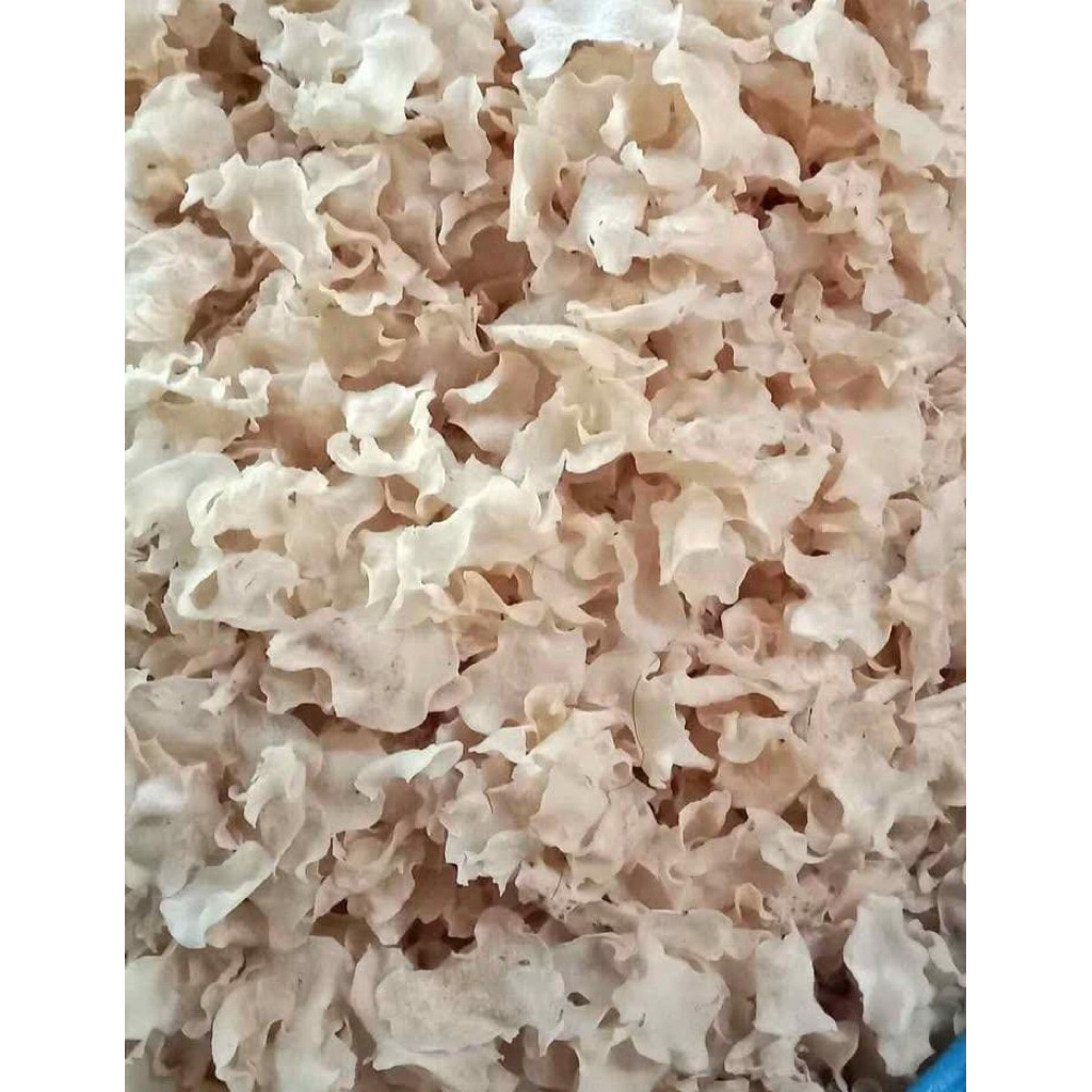 krecek gadung khas Kediri