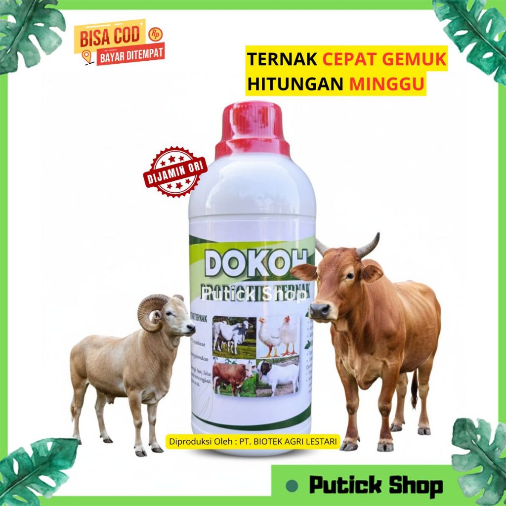 Penggemuk Kambing Sapi Cepat Gemuk DOKOH Penambah Nafsu Makan Hewan Ternak Sapi Kambing Biar Gemuk