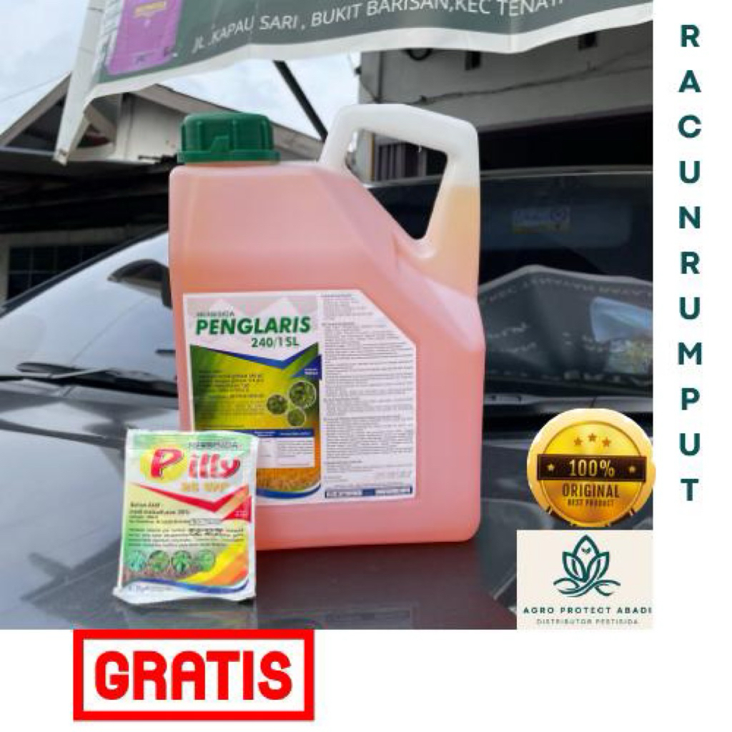 Herbisida PENGLARIS 240/ 1SL @ 5 liter | pembasmi / RACUN Rumput dan Gulma SAMPAI AKAR ,gratis metil