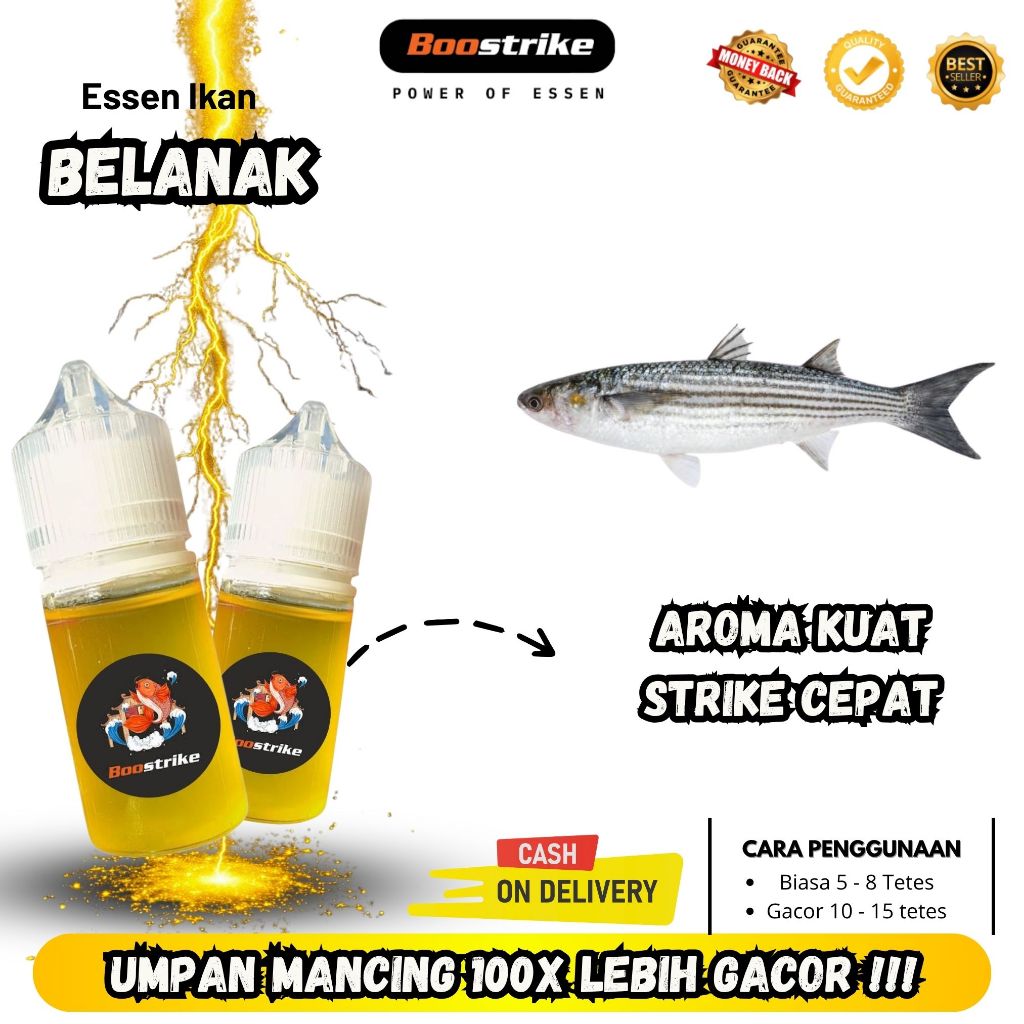 Essen Oplosan Super Ikan Belanak Jitu Paling Ampuh Untuk Liaran Essen Gacor Cepat Disambar