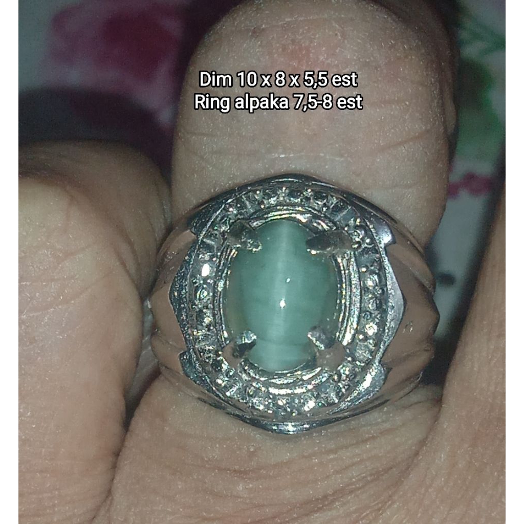 NATURAL ACTINOLITE CAT'S EYE / CAT'S EYE PANDAN