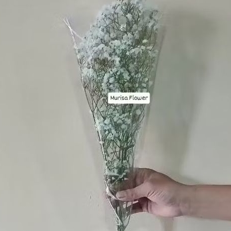 Bunga baby breath per tangkai fresh