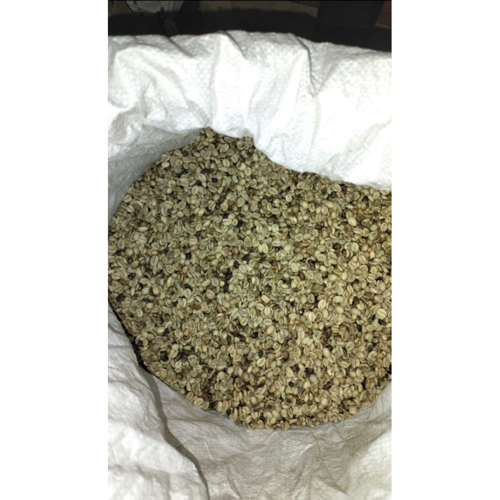 Greenbeans Arabika Muria - Biji Kopi Asalan