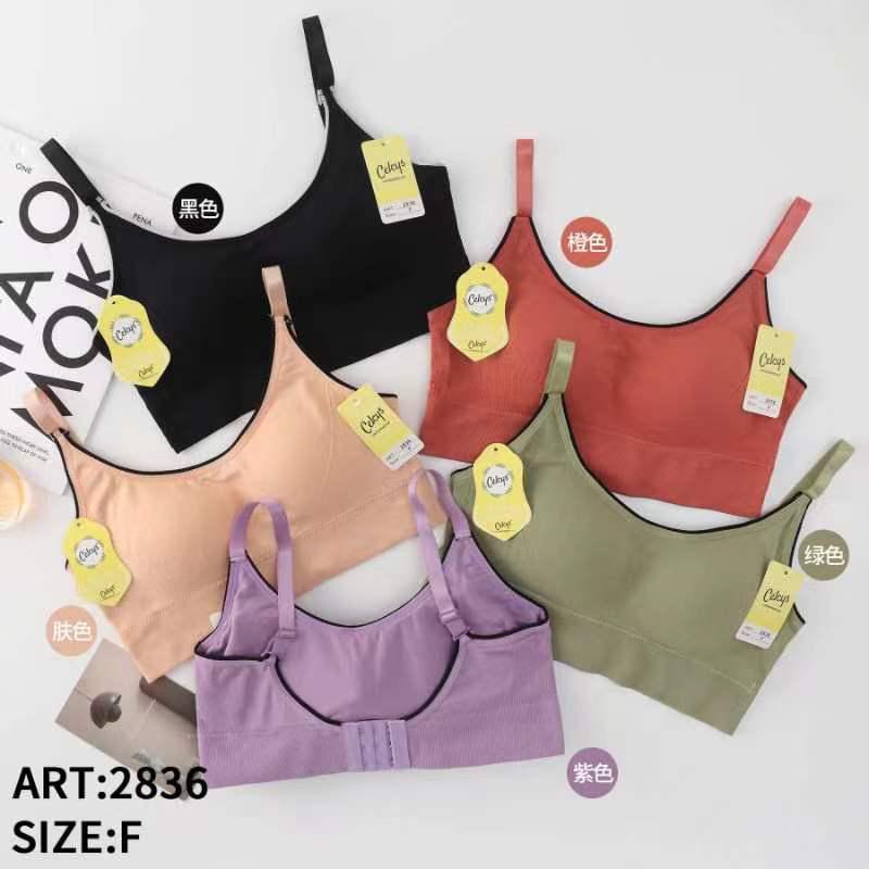 BRA SPORT RAJUT IMPORT TERMURAH 2836 CELCYS DENGAN KAIT