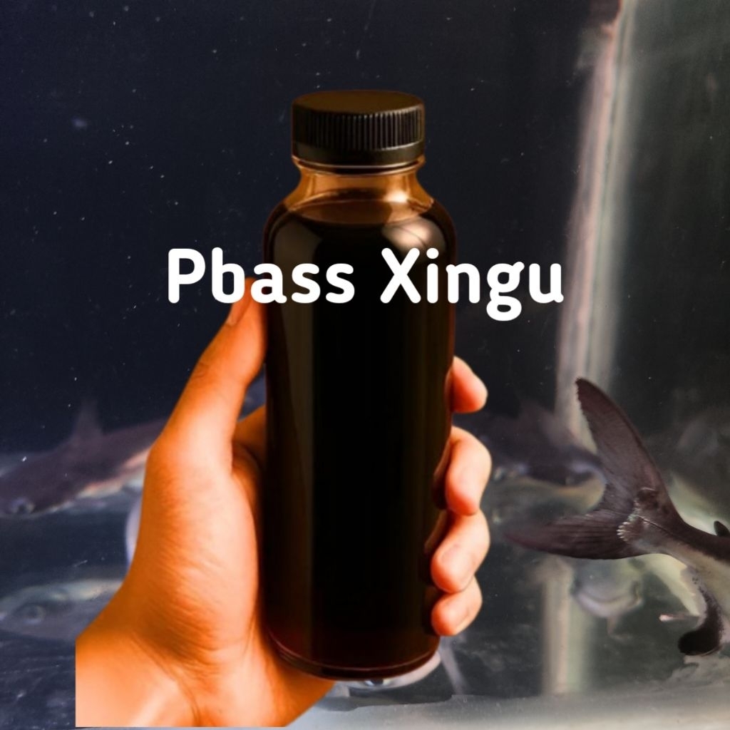 obat ketapang pbass xingu