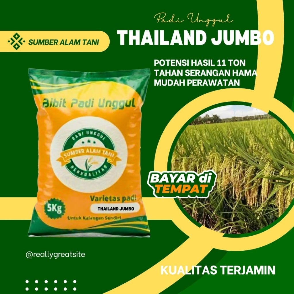 bibit padi unggul Thailand Jumbo kemasan 5 kg