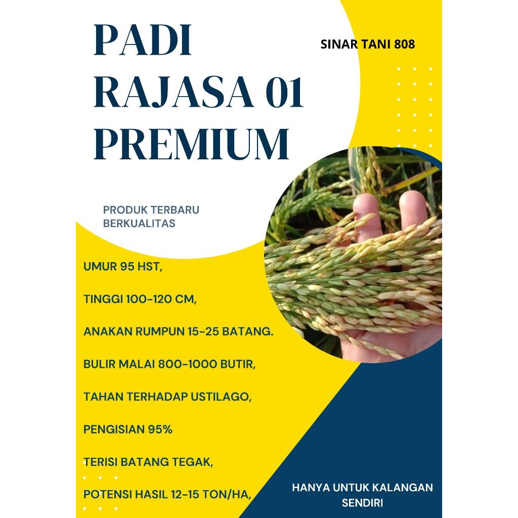 Bibit Benih Padi RAJASA 01 ORIGINAL Kemasan 1 Kg