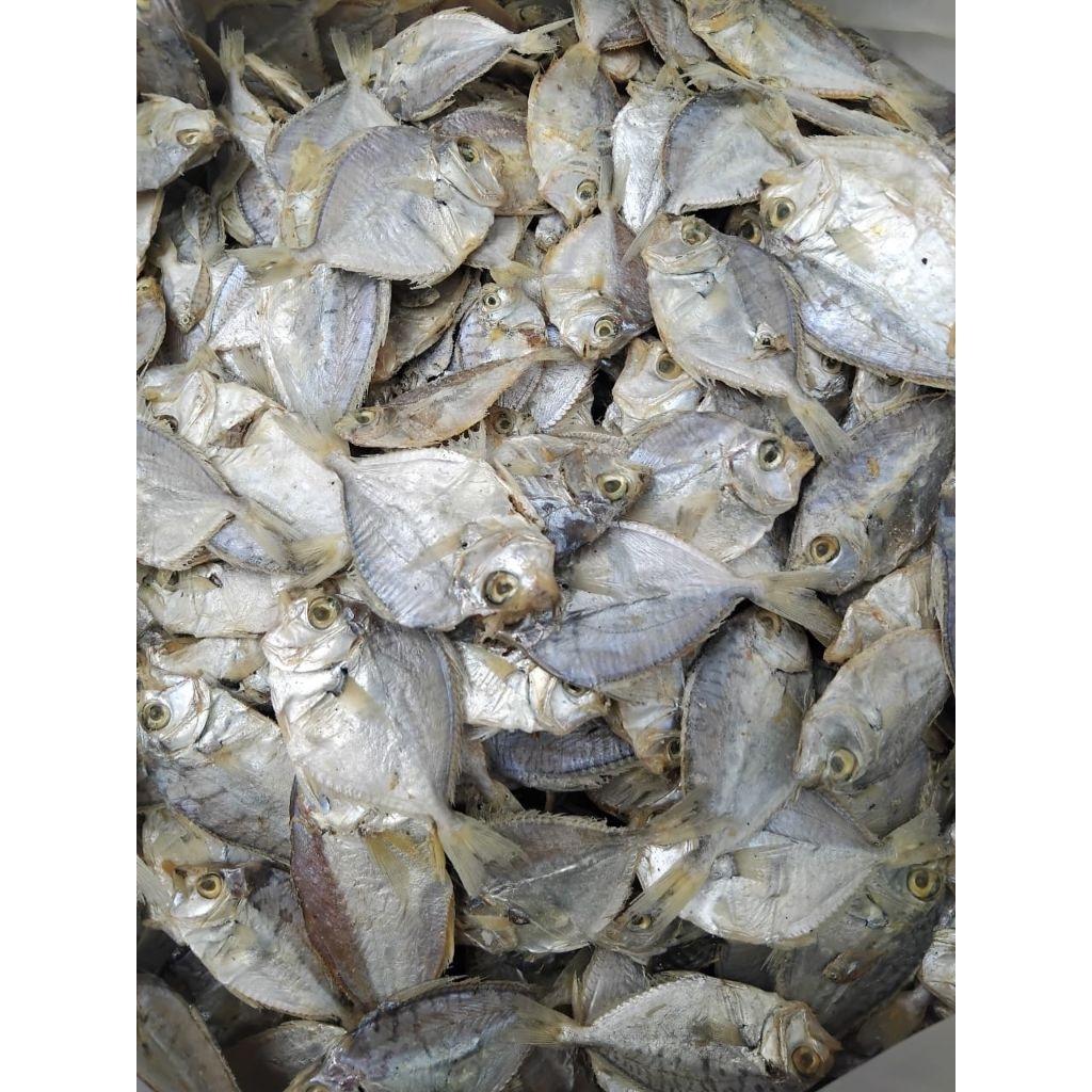 IKAN ASIN DODOK/ PEPETEK 1 KILO.